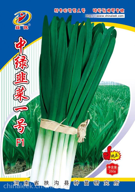 供应韭菜新品种----中绿韭菜一号f1种子