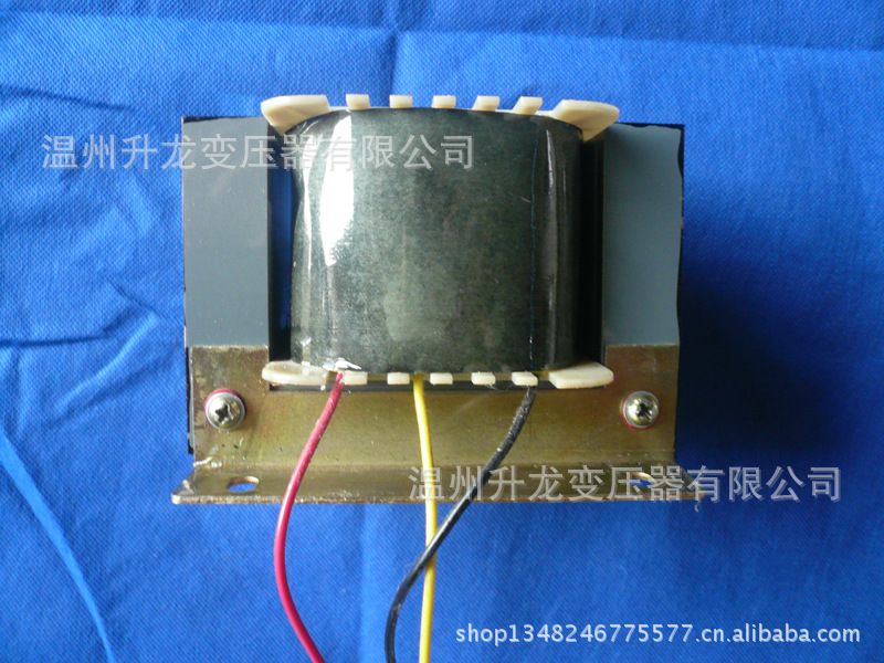 供应600w 44x58 震动变压器 变压器 电源变压器 小型变压器 硅钢片