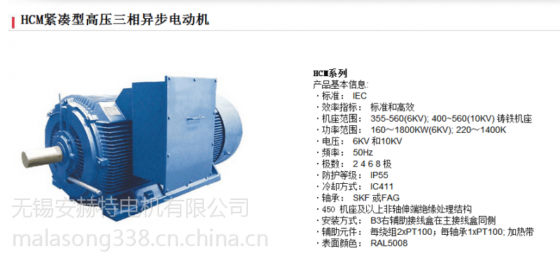 美国 马拉松电机 hcm 紧凑型高压三相异步电动机