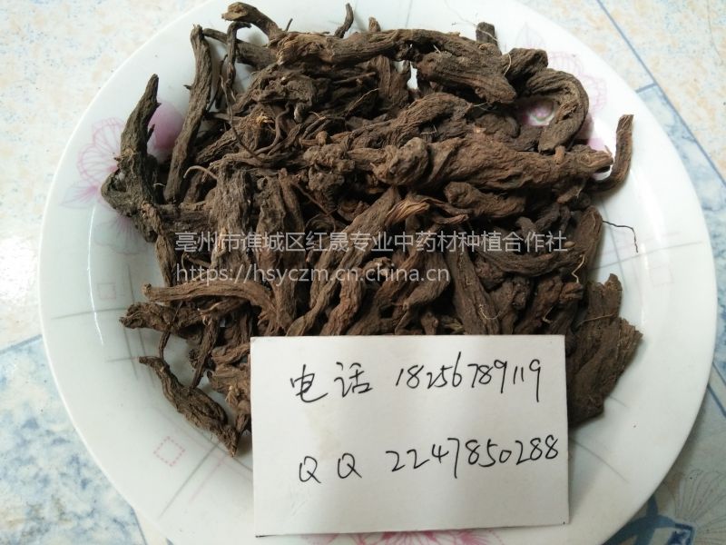 红大戟价格/红芽大戟哪里买得到?