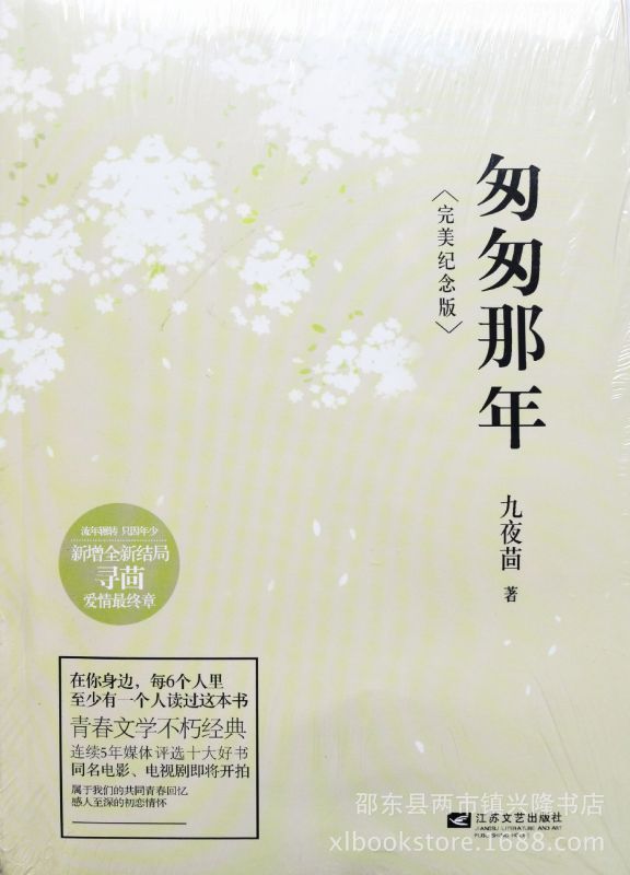 正版 地摊文学小说书籍 匆匆那年 现货爆款特价图书 书批发