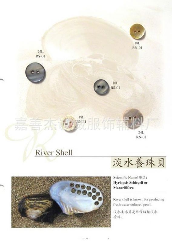 河贝钮扣:贝壳纽衬衫扣子西服钮扣淡水珍珠贝
