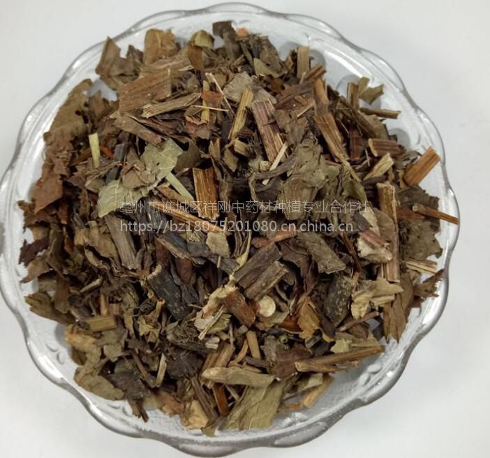 野生三白草的功效 三白草哪里有卖