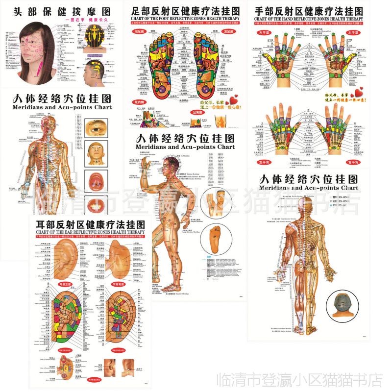 人体经络穴位按摩图足部手部耳部反射区健康挂图头部保健挂图