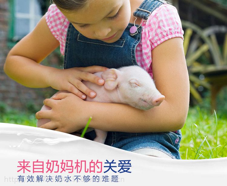 收藏宝贝 (4人气) 分享 包邮恒温仔猪喂奶机奶妈机小猪猪崽喂奶机补