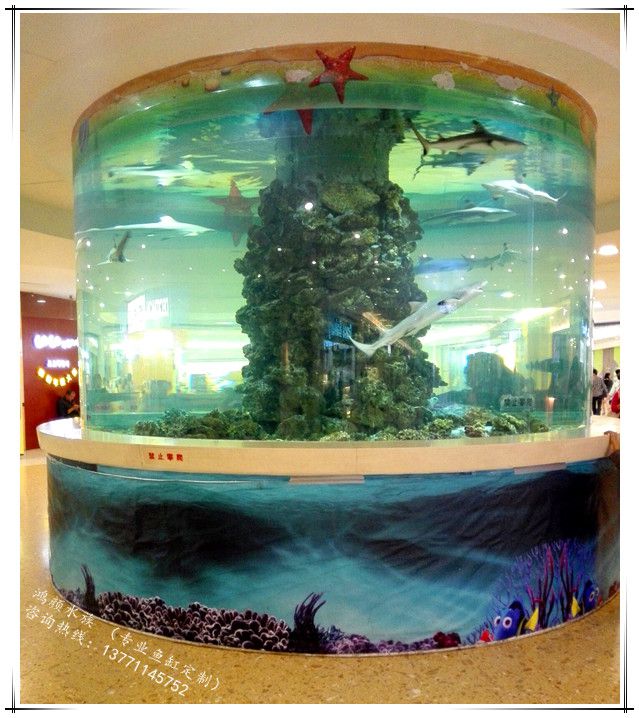 上海亚克力鱼缸定制圆柱形水族工程