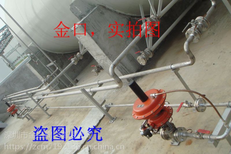 氮封装置阀门,深圳市zzdq气体控制减压阀,储罐气体减压阀