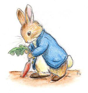 正版有标peterrabbit彼得兔100周年纪念版小兔本杰明毛绒公仔玩偶