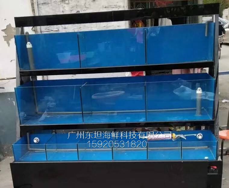 前进路海鲜鱼池制作费用-海鲜池一体机-广州海鲜酒家鱼池设计