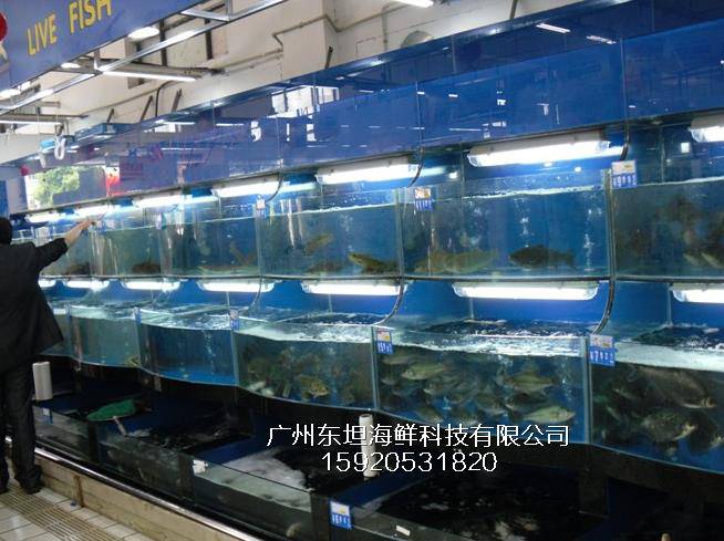 海珠素社海鲜鱼池图片-海鲜鱼池养殖-广州海鲜暂养池观光池
