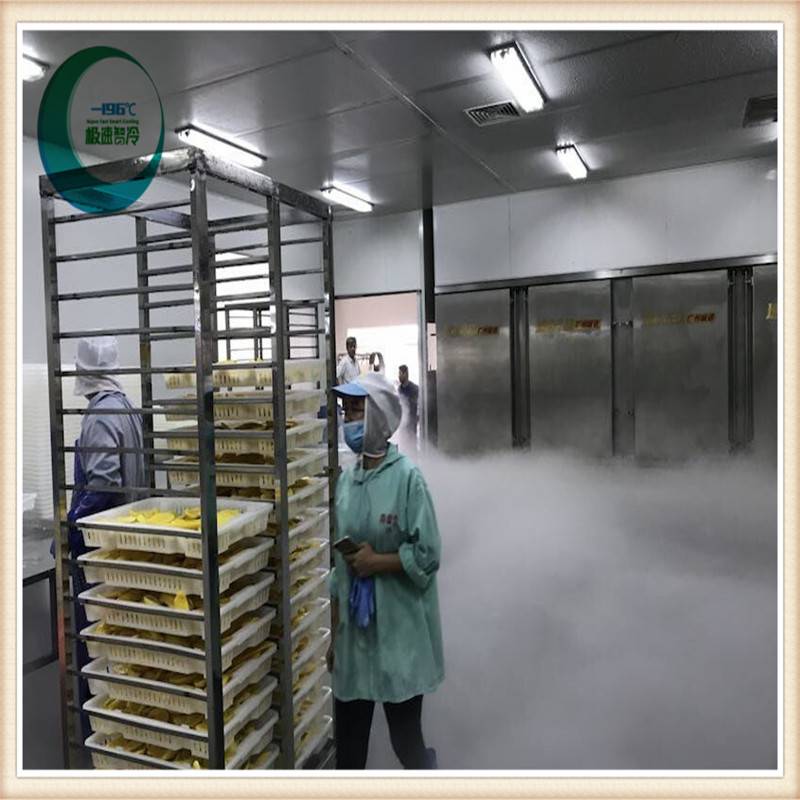 广西贺州柜式液氮机 芒果液氮速冻设备 欢迎选购