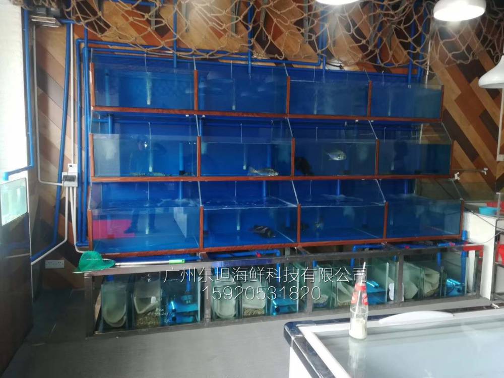 广州南石头海鲜池制作-海鲜缸增氧-广州餐厅海鲜观赏鱼池