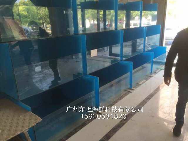 广州金沙洲海鲜鱼池制作图片-海鲜池-广州菜市场海鲜缸