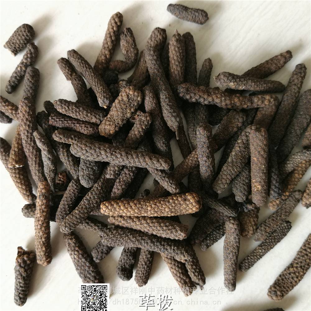 荜茇的功效与作用-当年货蛤蒌价格