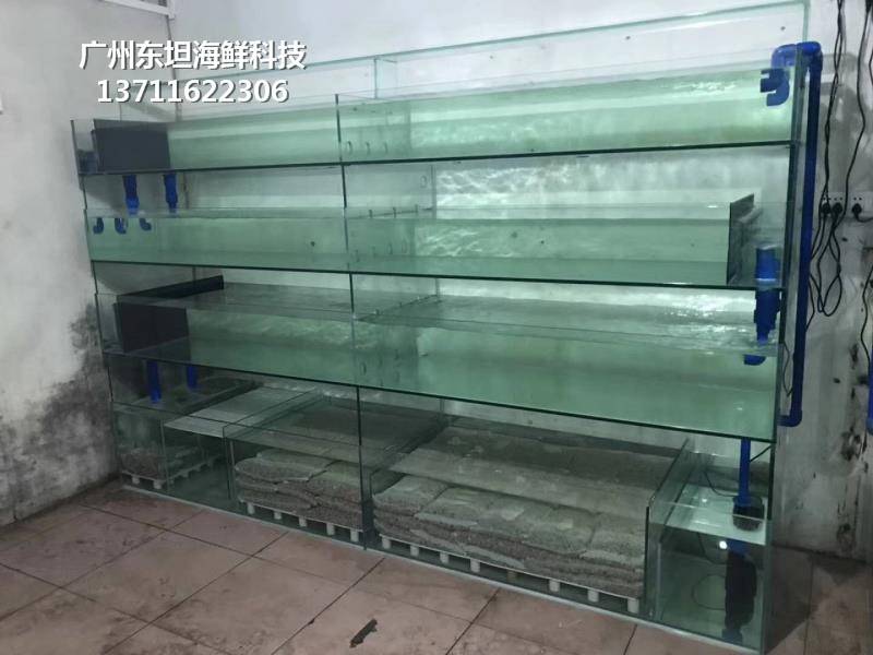深圳海鲜池定做-深圳可海鲜池-深圳光明海鲜玻璃鱼缸