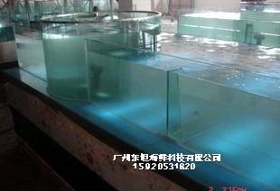 从化区海鲜鱼池制作图片-海鲜鱼池养殖-广州海鲜暂养池观光池