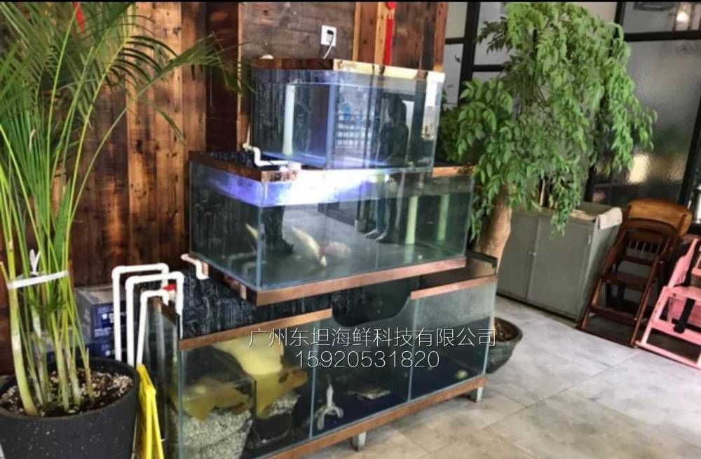 黄庄海鲜池定做-pvc板制作海鲜池-广州海鲜烧烤店定做鱼池