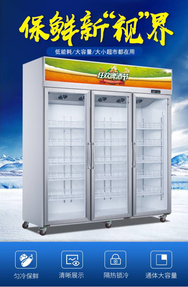 奥娲饮料柜展示柜立式冷藏柜单双门超市冰柜啤酒冷冻柜保鲜柜冰箱