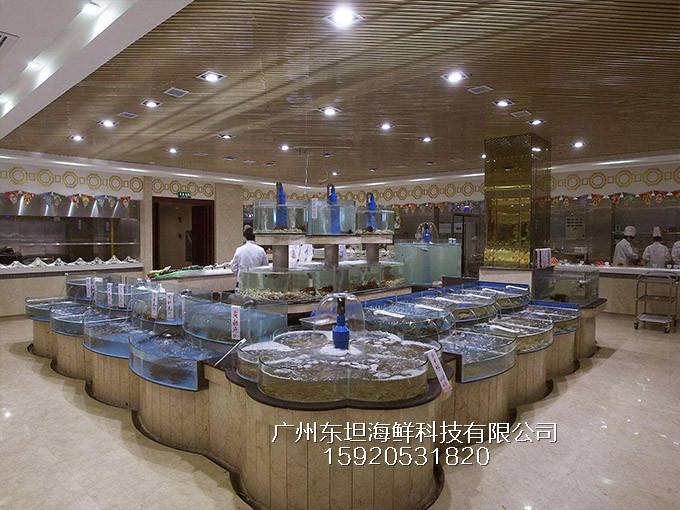 广州龙溪海鲜池效果图-海鲜池过滤-广州不锈钢海鲜池