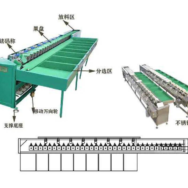 果蔬加工设备 新品人参果选果机规格 人参果自动分拣机 专业制造   上