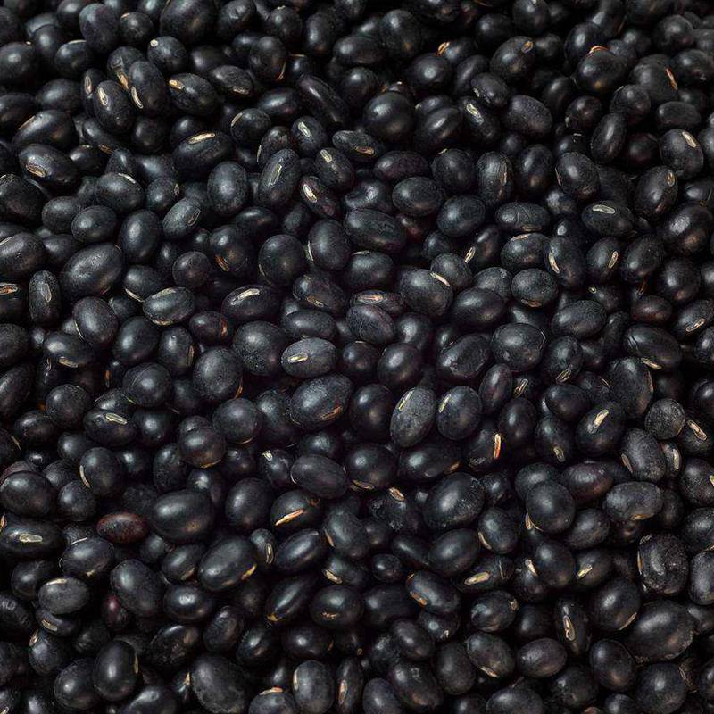 黑豆种子批发 进口在生牧草种子 产量高图片大全 沭