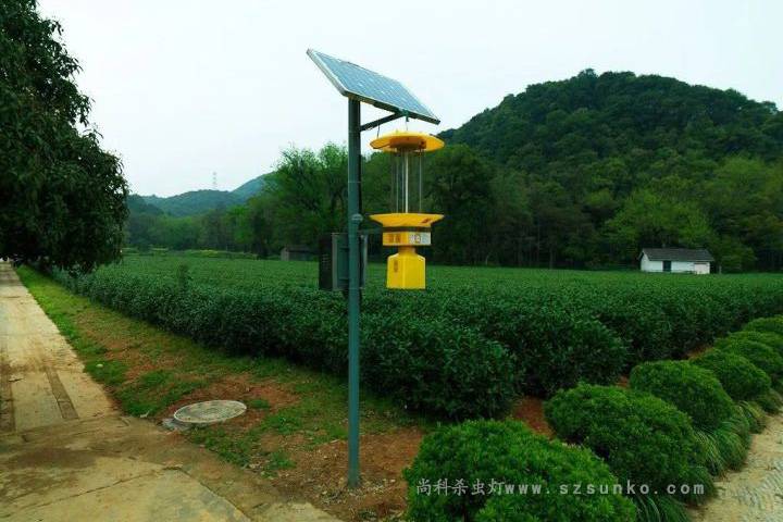 茶园杀虫灯 太阳能杀虫灯使用厂家建议