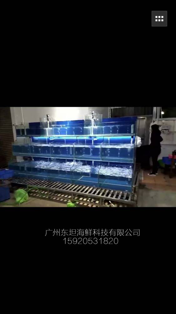 白云龙归海鲜池公司-海鲜鱼池养殖-广州菜市场海鲜缸
