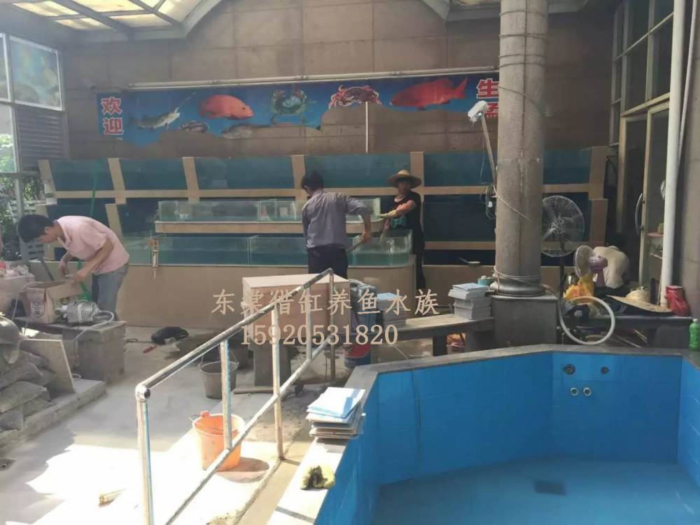 佛山大沥海鲜池造型，哪里定做制冷海鲜鱼缸