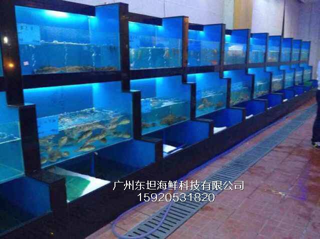 广州棠下海鲜池制冷机-海鲜池-广州海鲜烧烤店定做鱼池