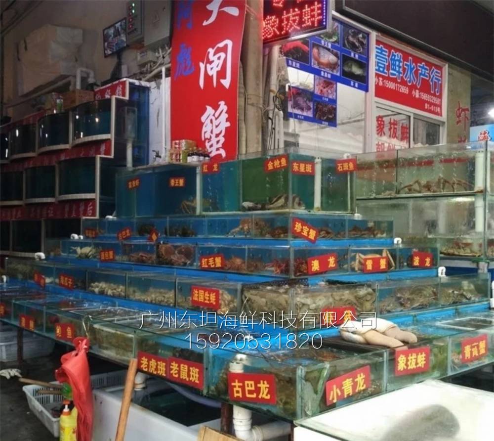 黄埔文冲海鲜鱼池制冷设备-制冷海鲜池-广州菜市场海鲜缸
