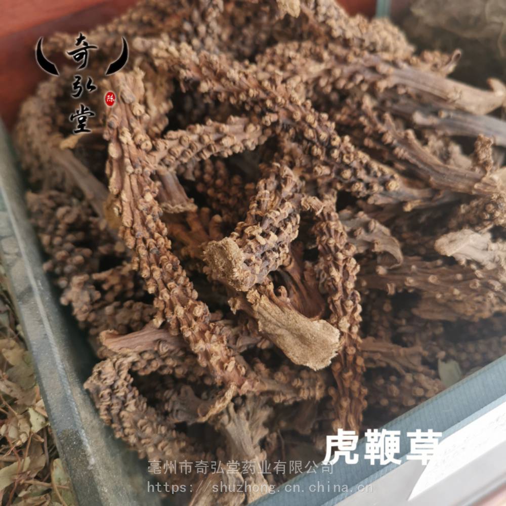 中药材虎鞭草市场价格