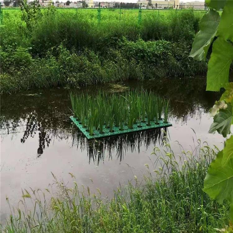 设计定制人工浮岛浮床水生态治理水质净化水生植物造景浮床