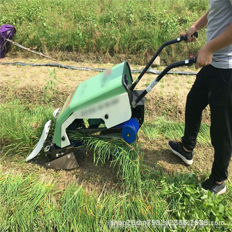 电动微型韭菜收割机 不伤根切口整齐韭菜收割机 电动小型收韭菜机