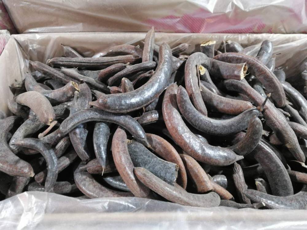 正宗猪牙皂多少钱 猪牙皂角药用效果 牙皂用法用量