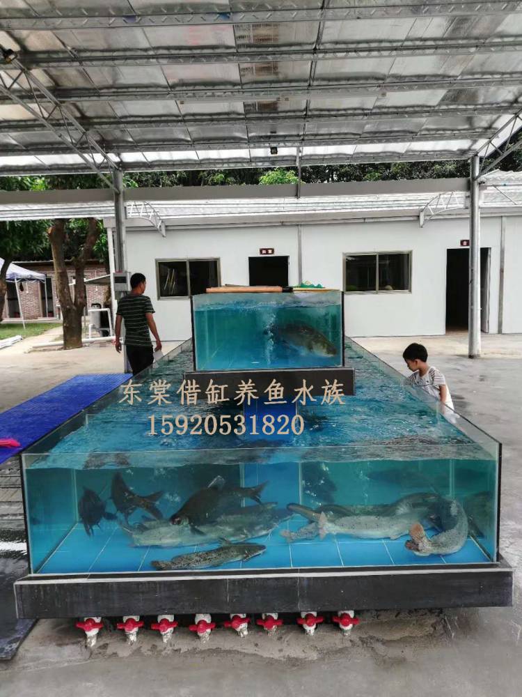 佛山季华园海鲜池效果图，哪里定做生猛鱼池