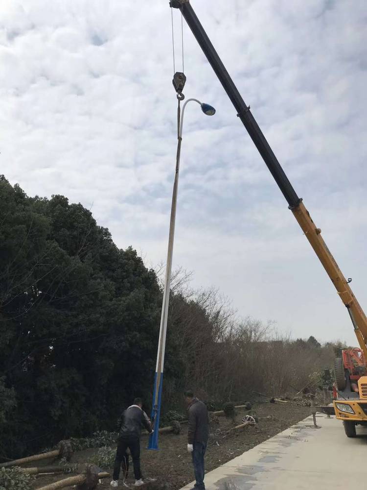 拉萨4米监控立杆杆件厂家制作