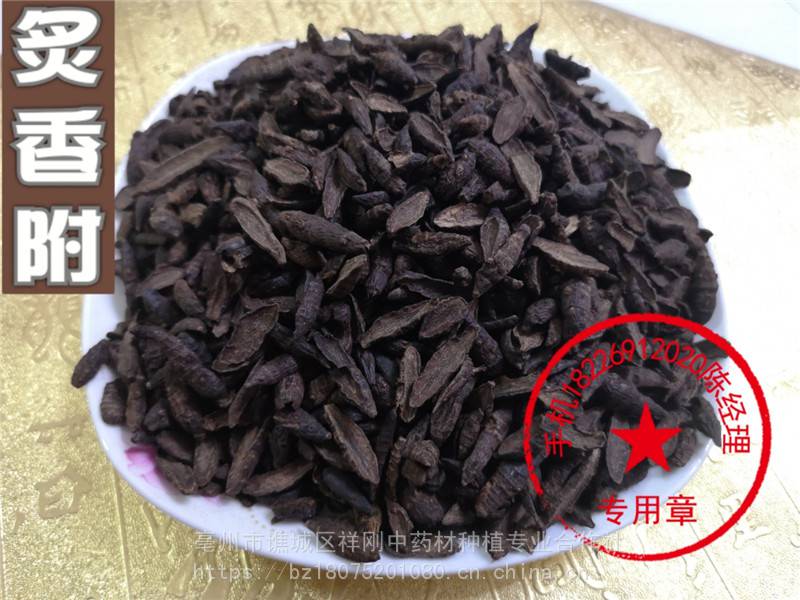 制香附批发与零售 莎草,香附子,雷公头,三棱草,香头草,回头青,雀头香
