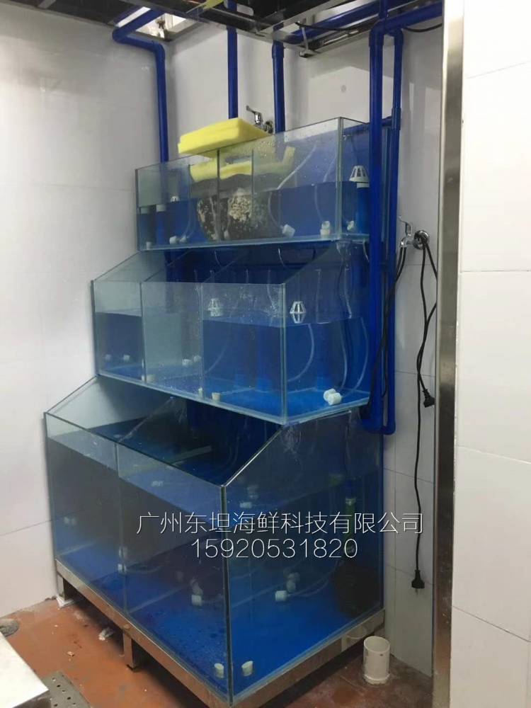 广州芩村海鲜池厂家-海鲜池-广州土建海鲜鱼池做防水