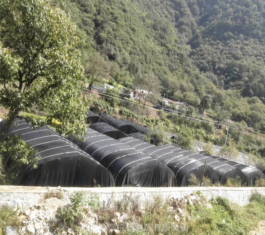 蔬菜大棚建设流程 圆管插地棚 蔬菜大棚图片