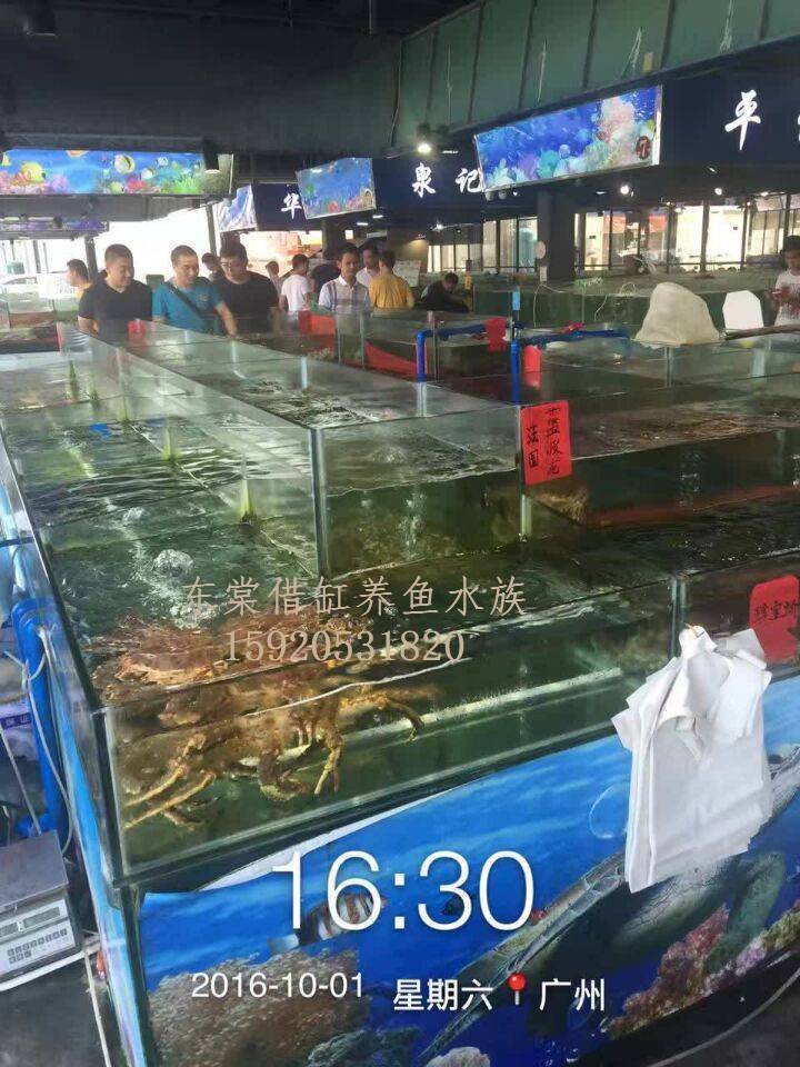 佛山万达广场海鲜鱼池制作图片，哪里定做两组制冷海鲜池