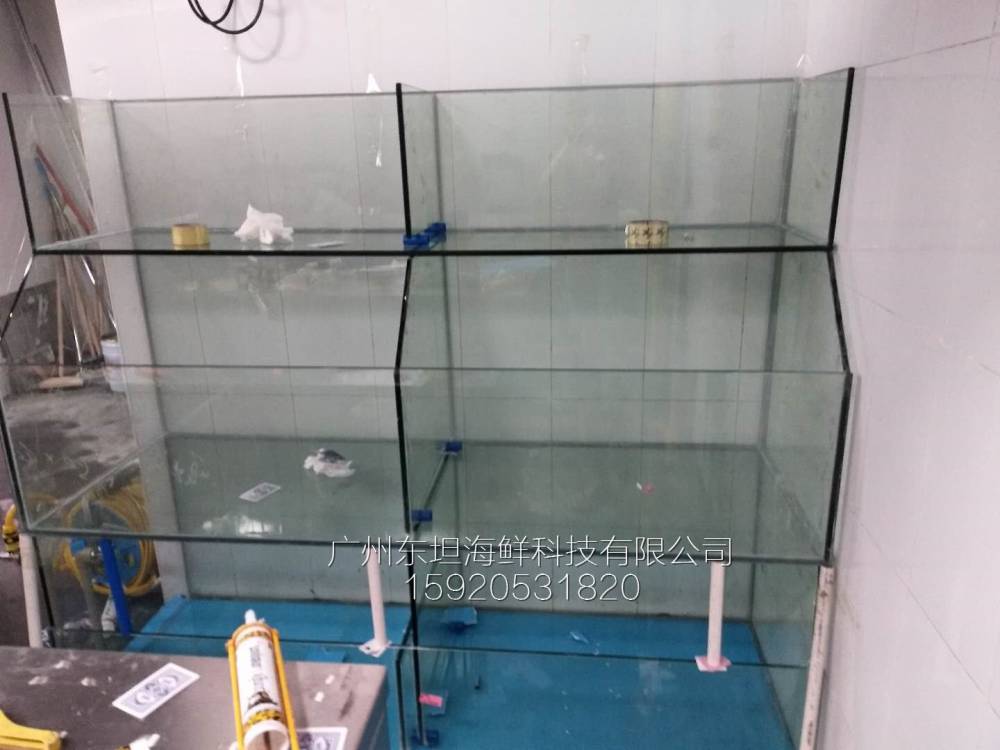 新塘海鲜池制冷机-pvc板制作海鲜池-广州餐厅海鲜观赏鱼池