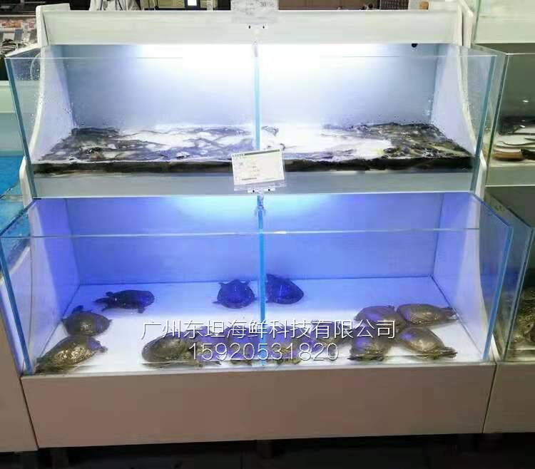 海珠区晓港海鲜池设计制作-海鲜池过滤-广州农庄土建鱼池