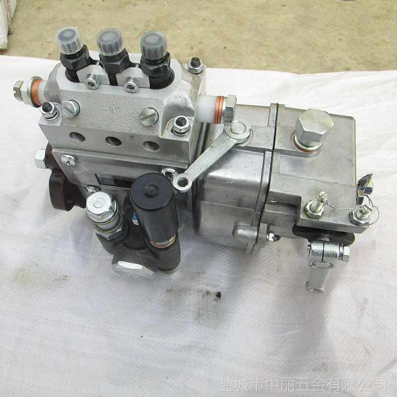 高压油泵输油泵3100江动江淮三缸柴油机喷油泵多缸机配件