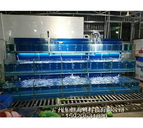 沙贝海鲜池设备-海鲜池一体机-广州梯形海鲜池定做