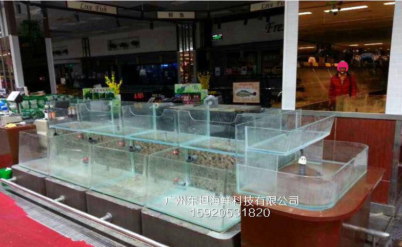 广州横沥海鲜鱼池图片-海鲜池制冷-广州超市海鲜池订做