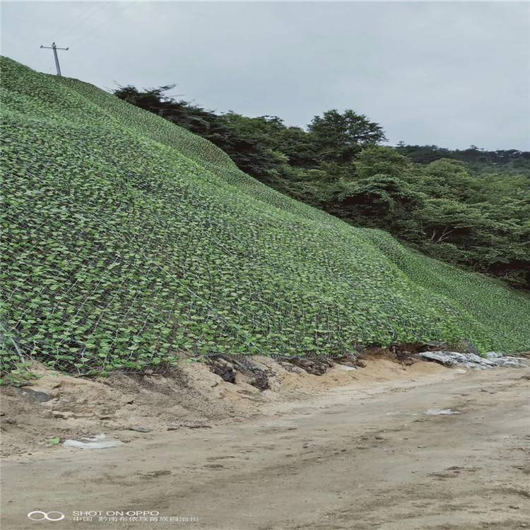 湖南邵阳山坡喷浆挂网 14#镀锌铁丝网 护坡植被客土喷播网 矿山边坡