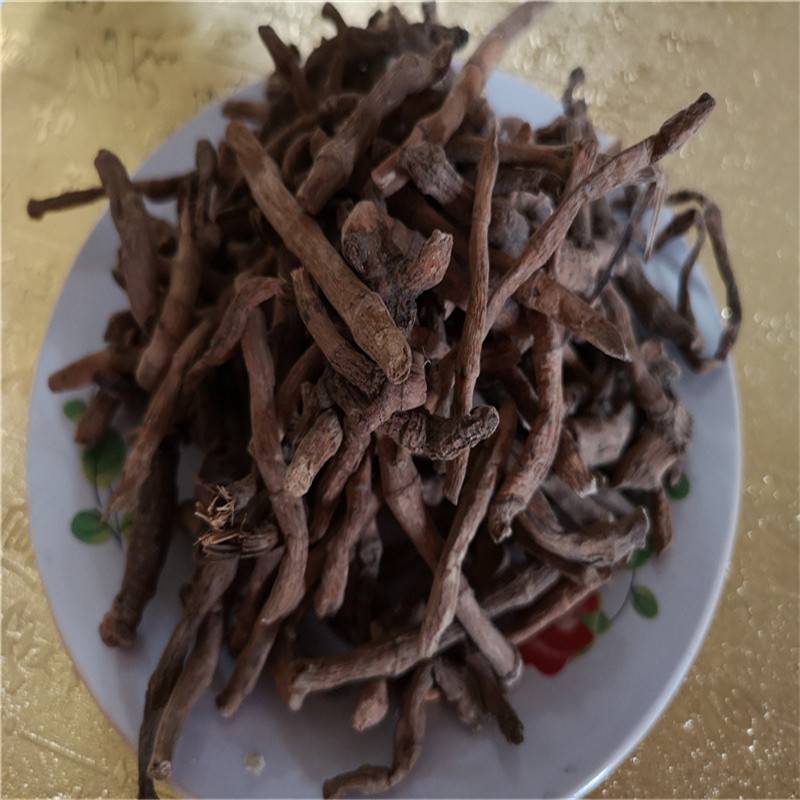 中药材天性草根价格 天性草根批发