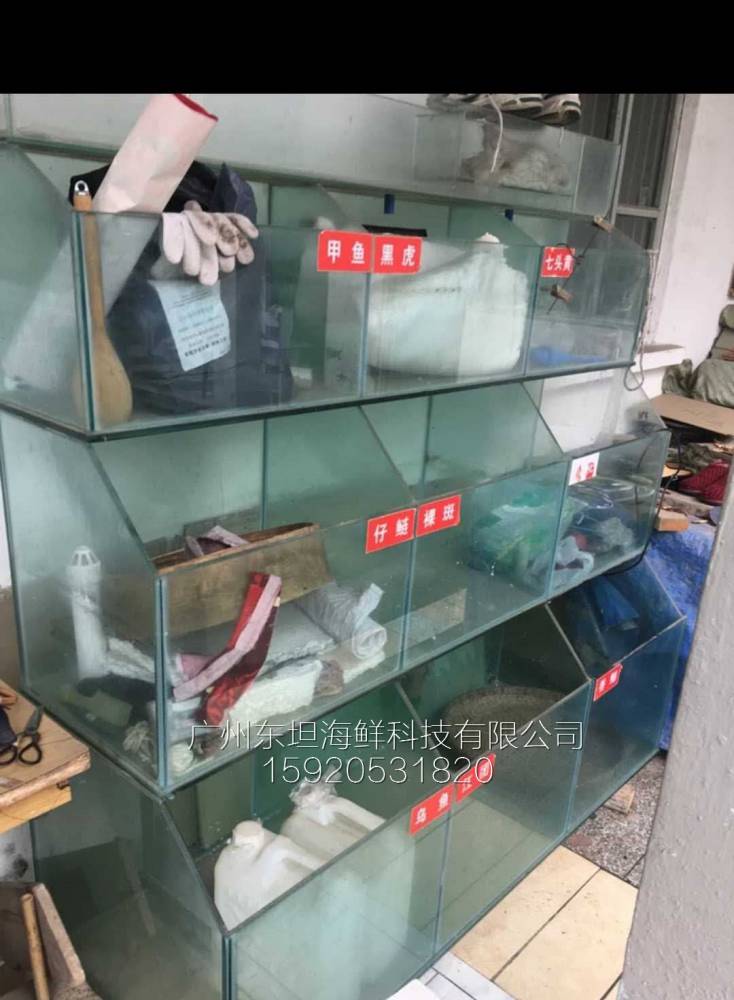 荔湾区龙津海鲜鱼池尺寸-海鲜池制冷-广州海鲜酒家鱼池设计