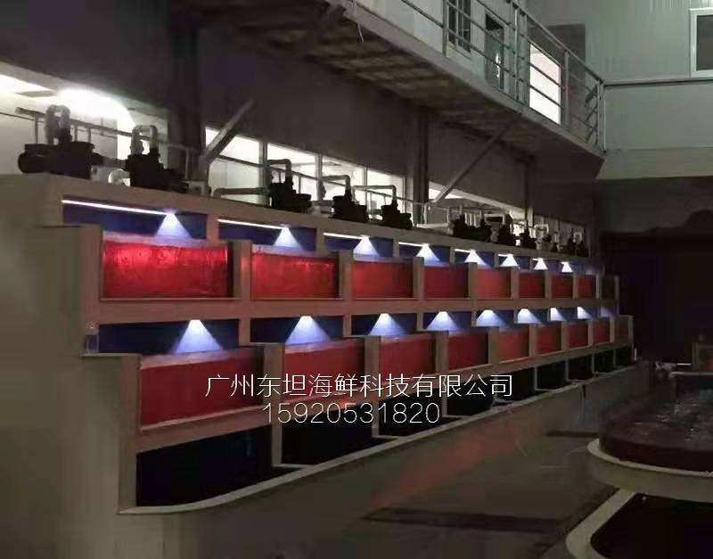 广州芳村海鲜鱼池制作图片-海鲜鱼池防漏水-广州梯形海鲜池定做