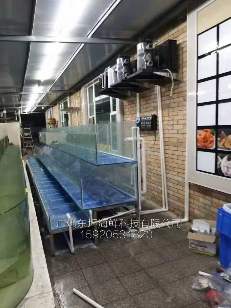 番禺南浦海鲜池定做电话-塑料海鲜池-广州餐厅海鲜观赏鱼池